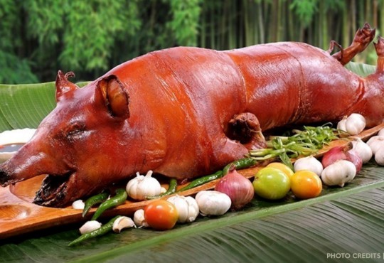 Best Lechon in the Philippines | The Happy Pig Trail