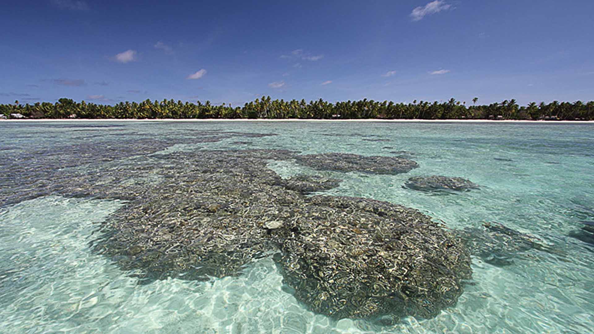 Kiribati. Photo credits: www.flicker/oggiscienza.com