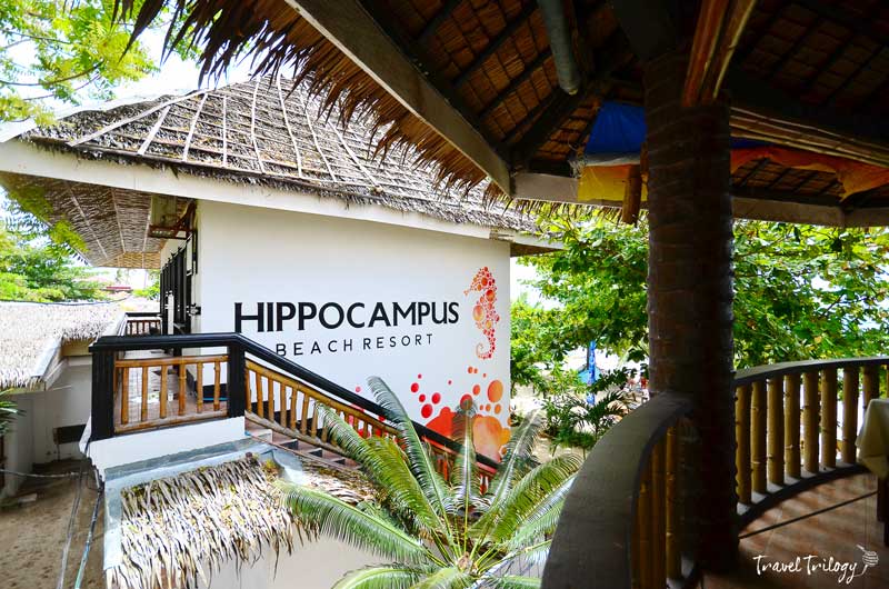 hippocampus beach resort